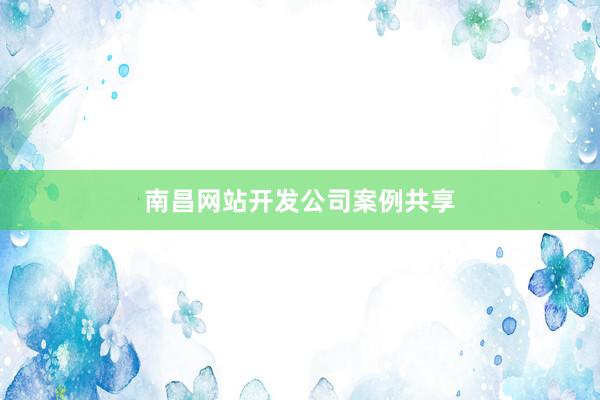 南昌网站开发公司案例共享