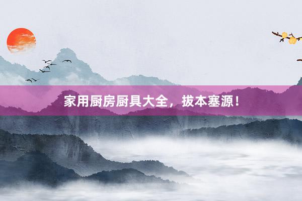 家用厨房厨具大全，拔本塞源！