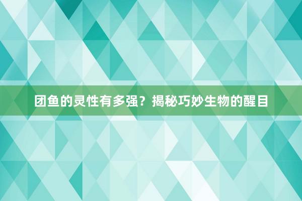团鱼的灵性有多强？揭秘巧妙生物的醒目